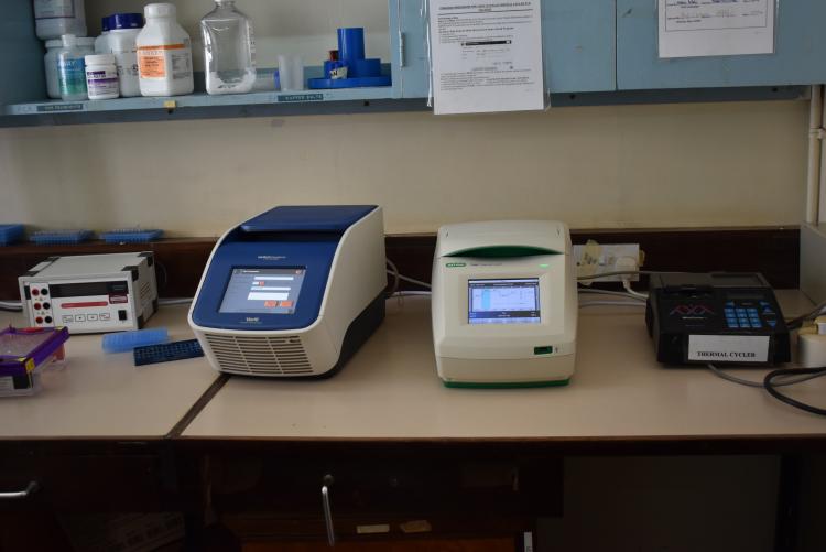 Convectional PCR Thermal Cyclers in Molecular Laboratory