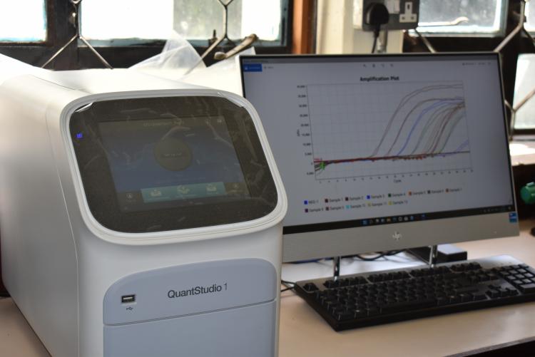 Real Time qPCR Machine in Molecular Laboratory